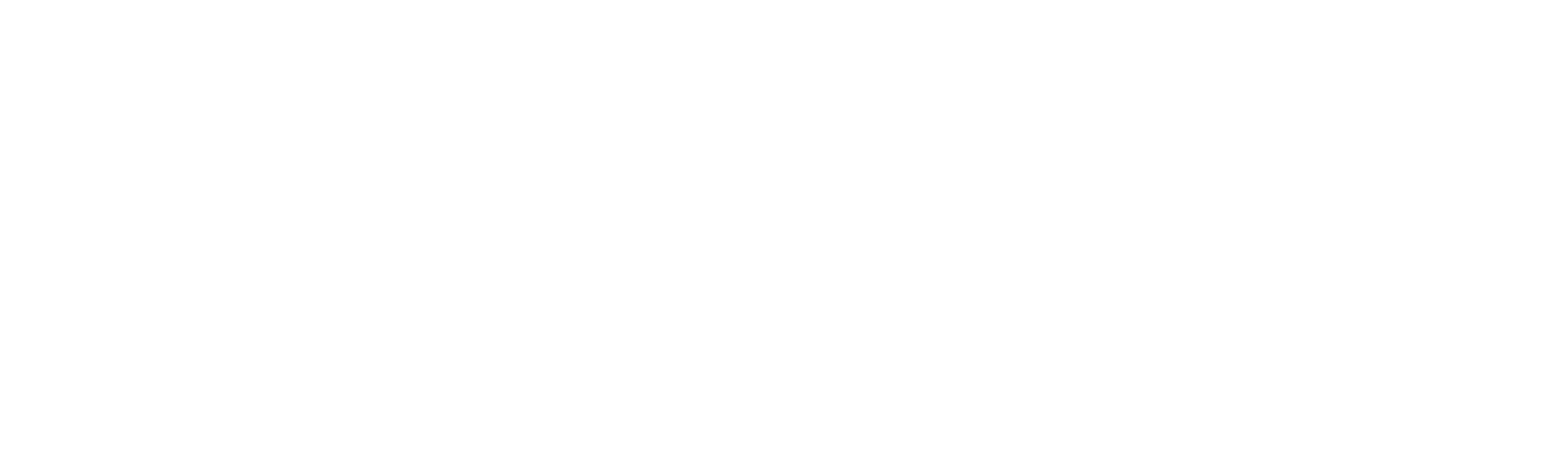 Outdoor Sporstsman Group